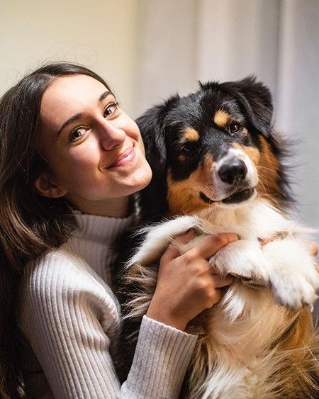 Three white puppies in a wicker basket